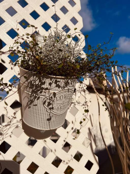 Amalfi Home - Stylish Apartment With Terrace シェーネフェルト エクステリア 写真