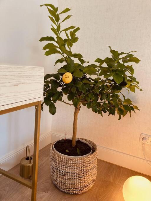 Amalfi Home - Stylish Apartment With Terrace シェーネフェルト エクステリア 写真